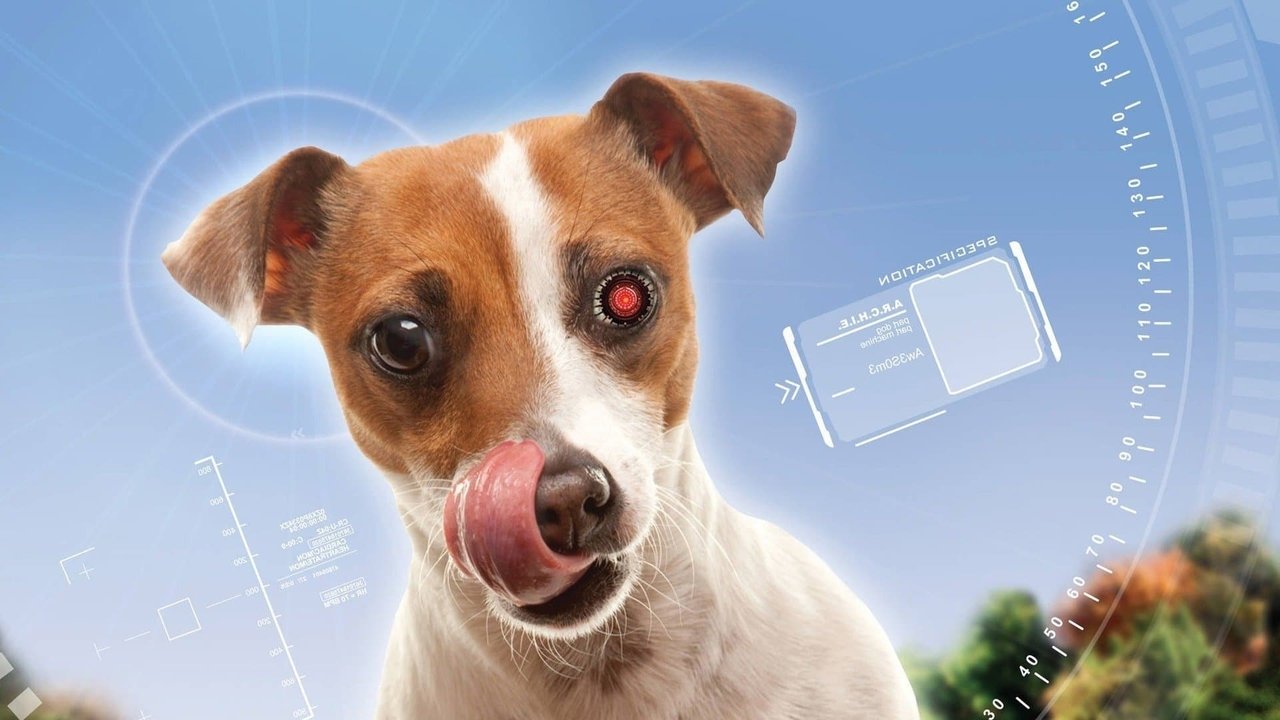 A.R.C.H.I.E. Collection background